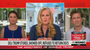 MSNBC Hosts Note Judge Trying Docs Case Was Appointed By Trump — 'Got Smacked Down' By Higher Court