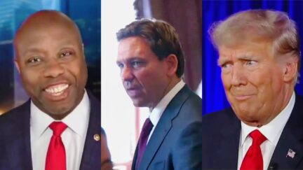 NEW FOX POLL Trump CRUSHING DeSantis In Iowa — And Tim Scott In South Carolina