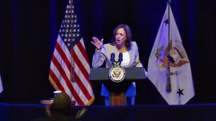 'They Want To Replace History With Lies!' Crowd Boos As VP Harris Blasts Florida 'Benefited From Slavery' Ed Standards