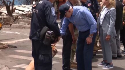 Joe Biden and dog