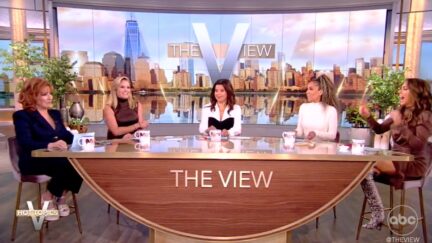 The View Returns from Summer Vacation By Roping Defenseless Audience Member into Roasting Trump
