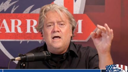 Steve Bannon