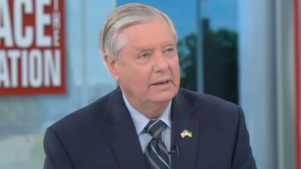 Lindsey Graham