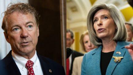 Rand Paul Joni Ernst