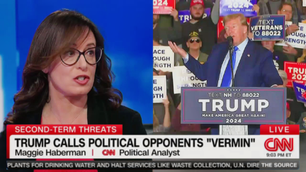 'Striking' Maggie Haberman Torches Trump 'Very Very Fascist-Invoking' Vermin Speech — Says He's Getting Worse