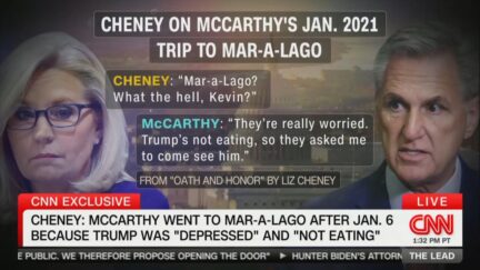 Liz Cheney