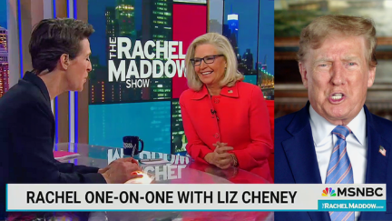 'Is This As Weird For You As It Is For Me' Maddow And Cheney Laugh Over Anti-Trump Unity After Past Conflict