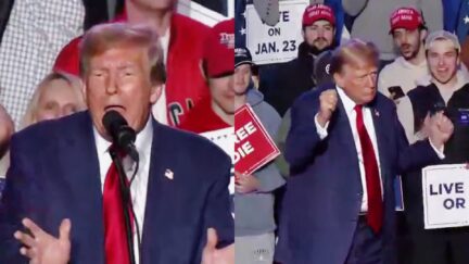 Trump Nazi-Echoing 'Poison Blood-Vermin' Speeches Make Republicans MORE Likely To Vote For Him