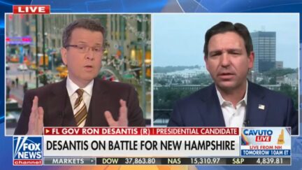 Neil Cavuto and Ron DeSantis