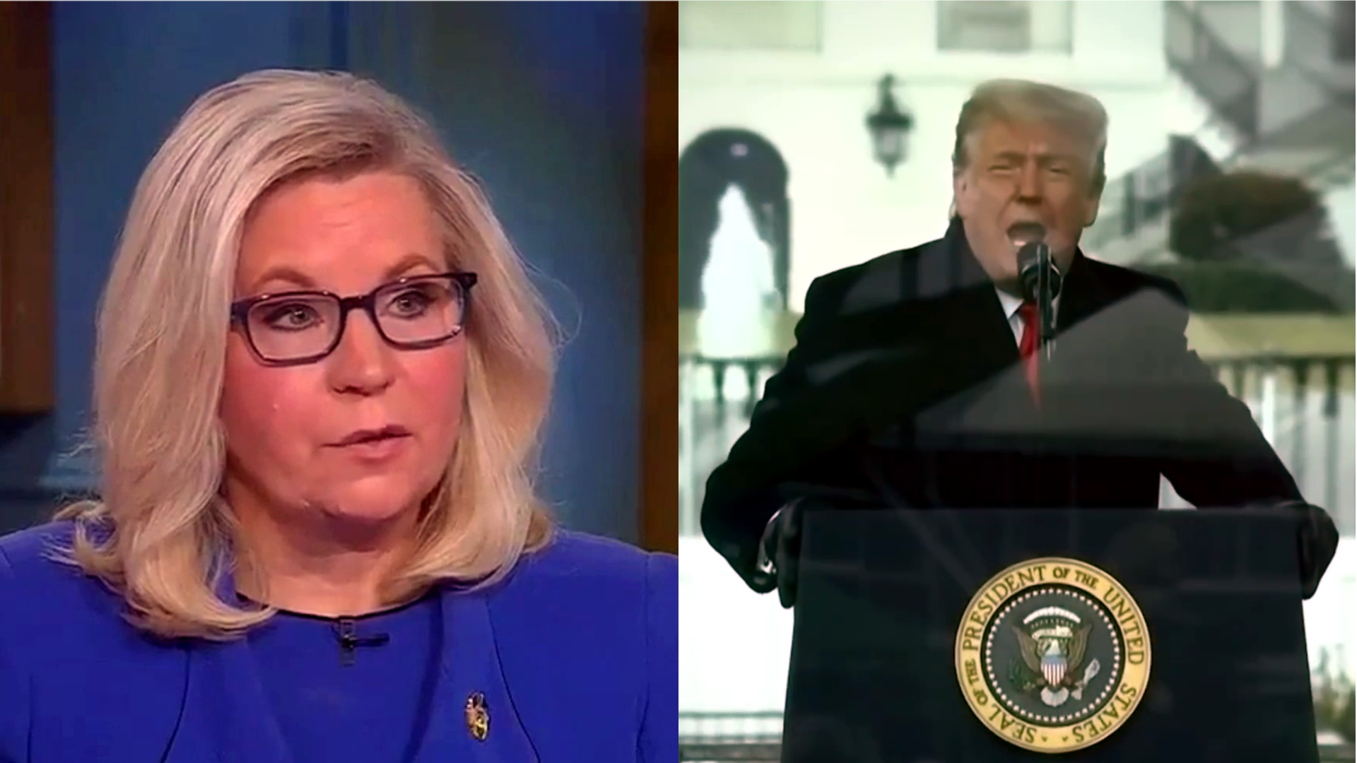 Liz Cheney Claps Back At Trump Sharing Debunked Article