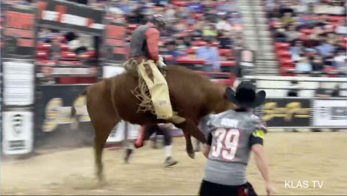Football Coach Riding UNLV Football Coach Gets Wrecked Riding Bull to Raise Money