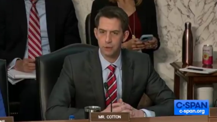 Tom Cotton