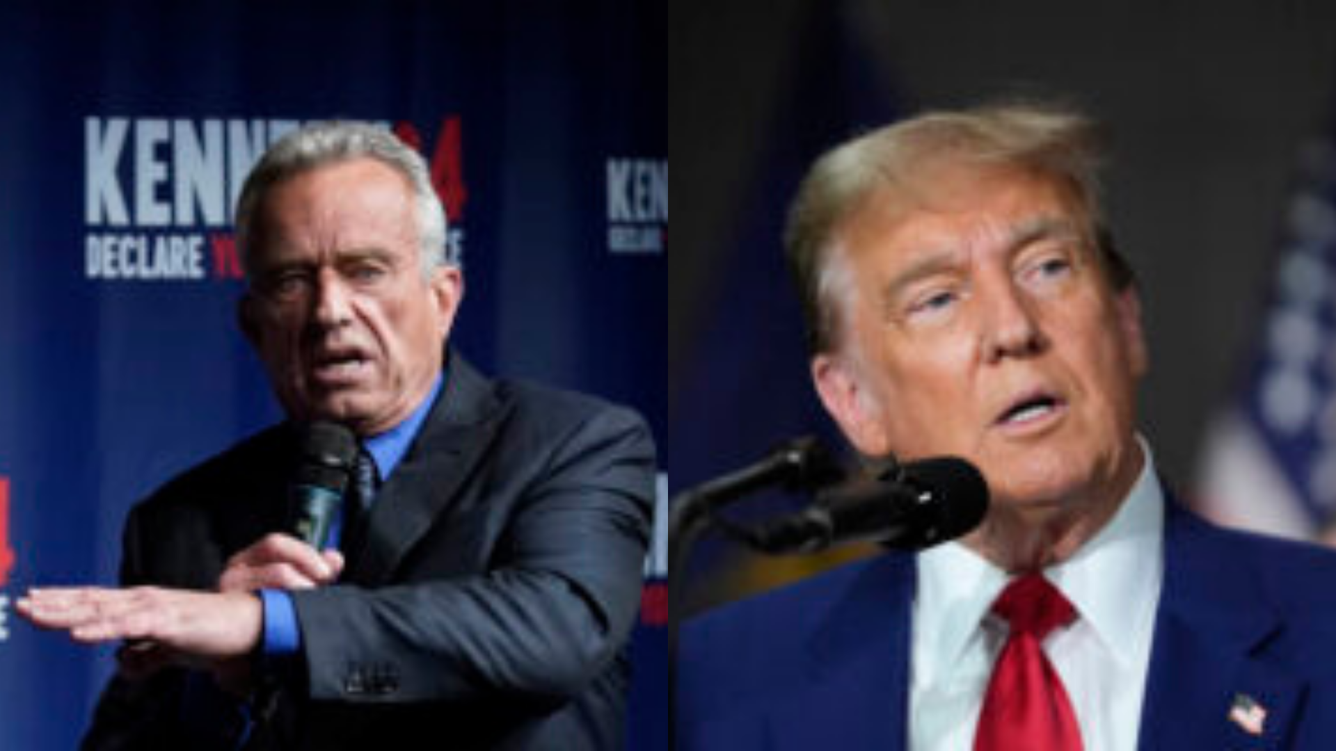 How Trump and RFK Jr.’s ‘Unity’ Deal Fell Apart (mediaite.com)