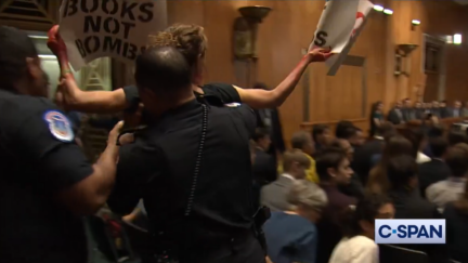 Blinken protestor