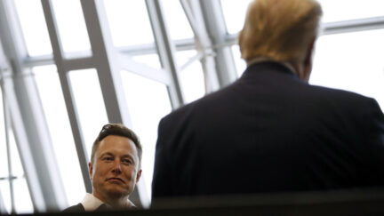 Elon Musk and Donald Trump