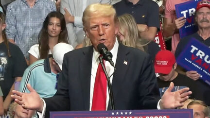 ‘Don’t Know What The Hell It Is!’ Trump Pleads Ignorance On ‘Severe Right’ Project 2025: ‘Don’t Know Anything About It! (mediaite.com)