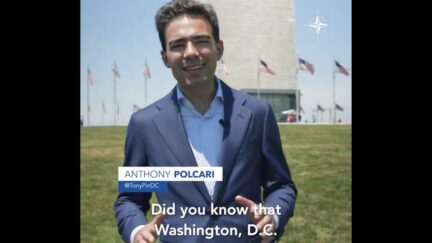 Tony P in DC Nato Summit video