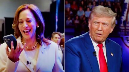 Kamala Harris More Than DOUBLES Trump's $130M Fundraising Haul in August
