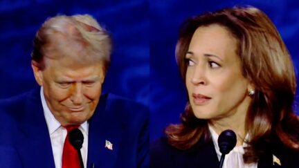 Kamala Harris Twists the Knife At Debate — Says Trump 'Got Fired' And ‘Is Having a Difficult Time Processing That’-2024-09-10