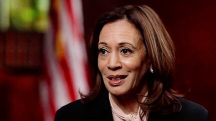 Kamala Harris Calls BS On ‘Narrative’ Black Men Going For Trump: ‘Not Panning Out’ On The Ground (mediaite.com)