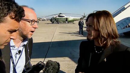 Reporter Asks Kamala Harris 'Do You Sympathize' With Trump Fans 'Insulted or Offended' By Garbage Remark b