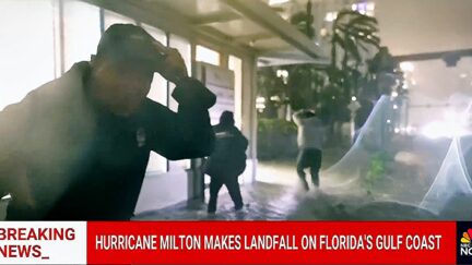 📺 ‘WE GOTTA GO!’ NBC Crew Flees As Milton Suddenly Unleashes Hell On Earth Live On Air (mediaite.com)