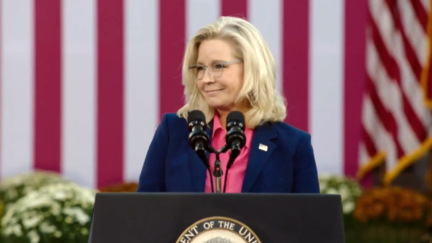 Liz Cheney