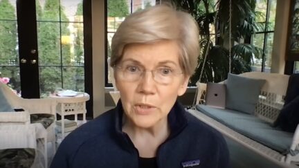 Elizabeth Warren Calls CEO Murder a 'Warning'