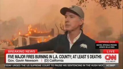 📺 Gavin Newsom Blasts Trump Politicizing LA Fires While People Are ‘Literally Fleeing’ (mediaite.com)