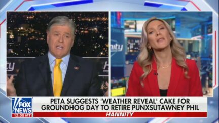 Hannity