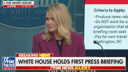Karoline Leavitt Explains Drones