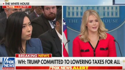 Karoline Leavitt Scolds Media Over Tariff Questions