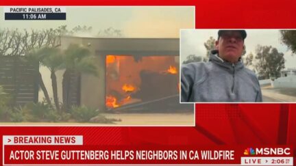 Steve Guttenberg Reports From Fires