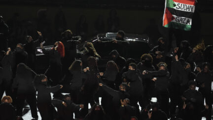 Protester at Super Bowl halftime show