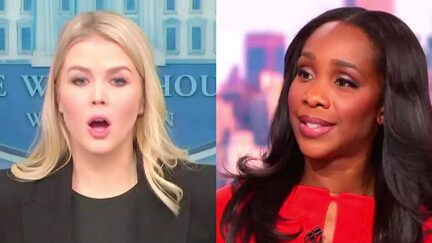 'Make It Make Sense!' CNN Anchor Roasts Trump Spox Karoline Leavitt's Claim Musk Will Police Himself