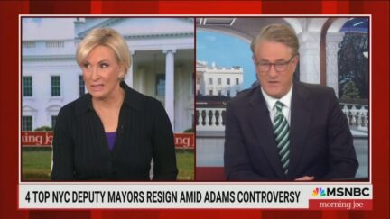 Morning Joe
