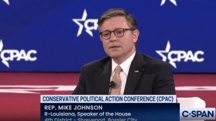 Mike Johnson