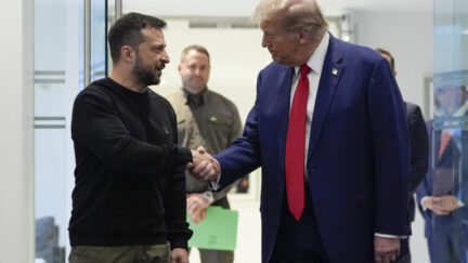 Zelensky and trump shake hands
