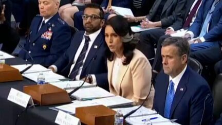 Bombshell Text Release Shows Trump Officials Were BSing Senators — Under Oath — Hours Earlier