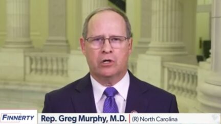 Greg Murphy on Newsmax
