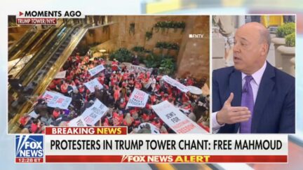 Ari Fleischer reacts to Trump Tower protest