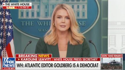 Karoline Leavitt Rages Against 'Propagandists in the Media'