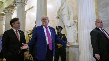 Donald Trump Mike Johnson