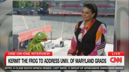 Kermit the Frog and Sara Sidner