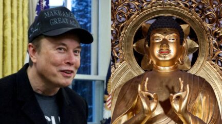 Musk