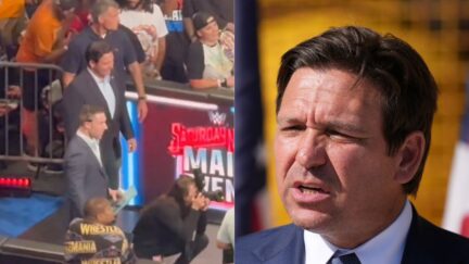 DeSantis