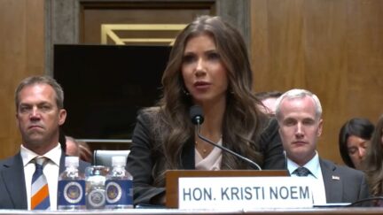 Kristi Noem