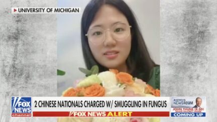 Chinese nationals charged for smuggling pathogen into U.S.