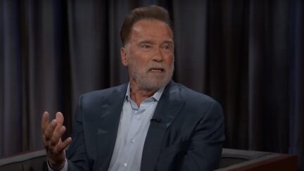 Arnold Schwarzenegger Dumps On Gavin Newsom's Taxes Idea