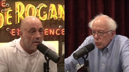 Joe Rogan Asks Bernie Sanders If He'll Run for President Again